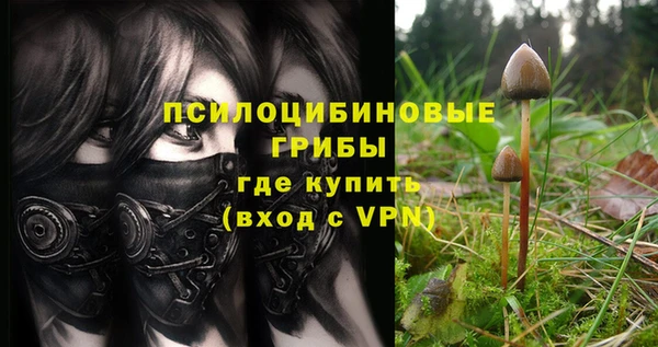 mix Абаза