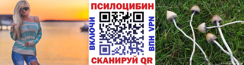 маркетплейс Telegram  Таганрог  Псилоцибиновые грибы Psilocybe 